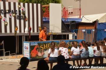 Espectáculo de aves exóticas de Paco Pluma en El Caracol (Foto Francisco Javier Santana)